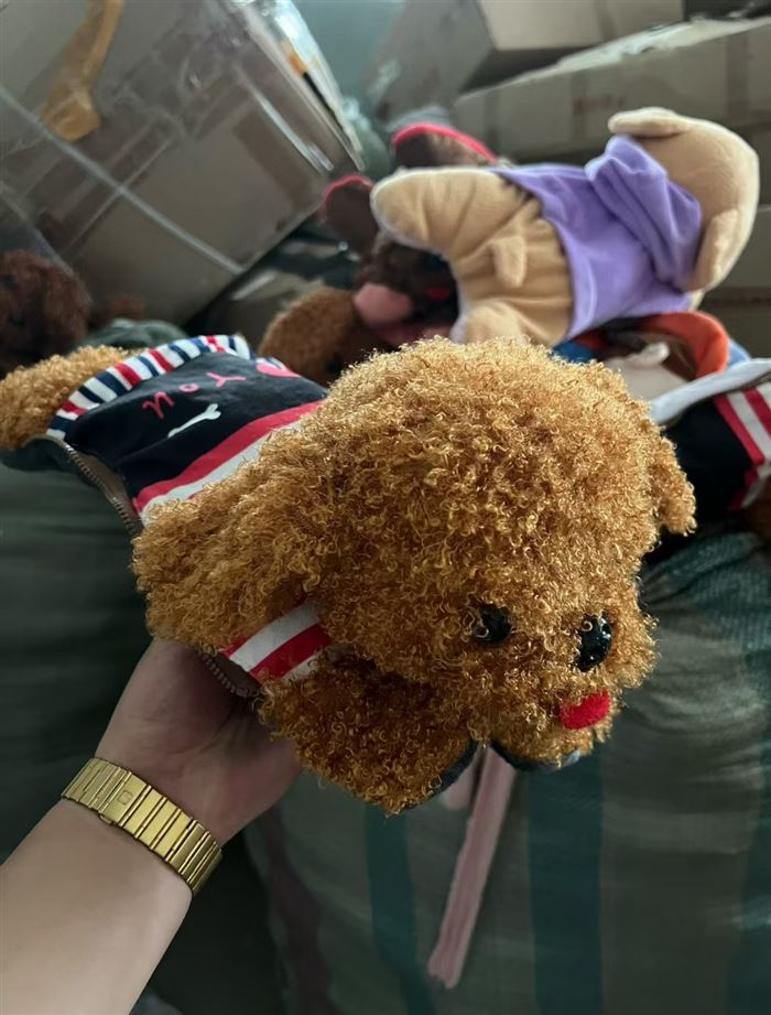 Plush toys 10000 bottles
