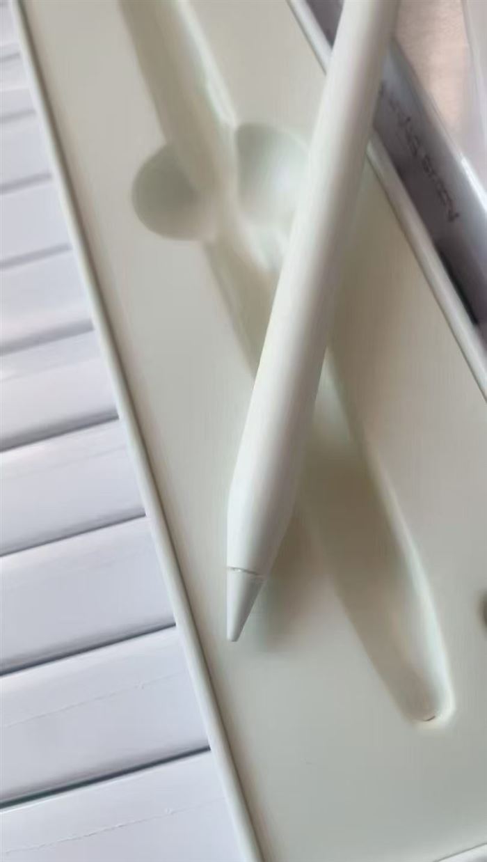 Apple Pencil 1000 pcs pcs